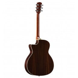 ALVAREZ AG75WCE ARTIST