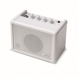 CARRY ON CO-SPEAKER - MINI SPEAKER