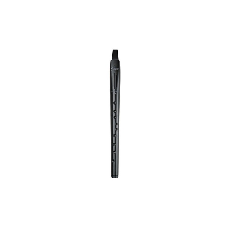 CARRY ON CO-DWI2-BK - DIGITAL WIND INSTRUMENT 2 - NERO