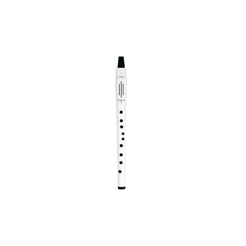 CARRY ON CO-DWI2-WT - DIGITAL WIND INSTRUMENT 2 - BIANCO