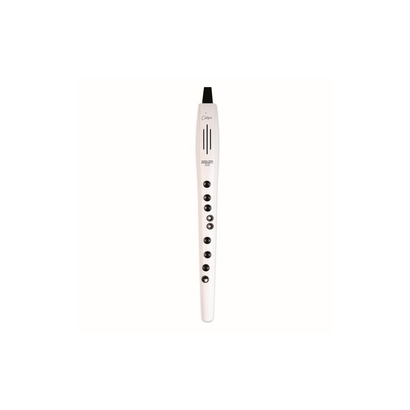 CARRY ON CO-DWI2PLUS-WT - DIGITAL WIND INSTRUMENT PLUS - BIANCO