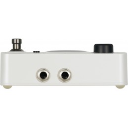 MOOER GL100