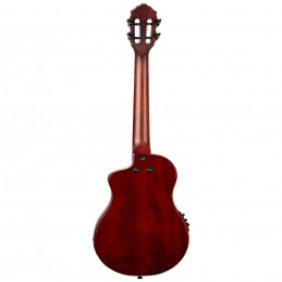 ORTEGA RTPS-U-NAT