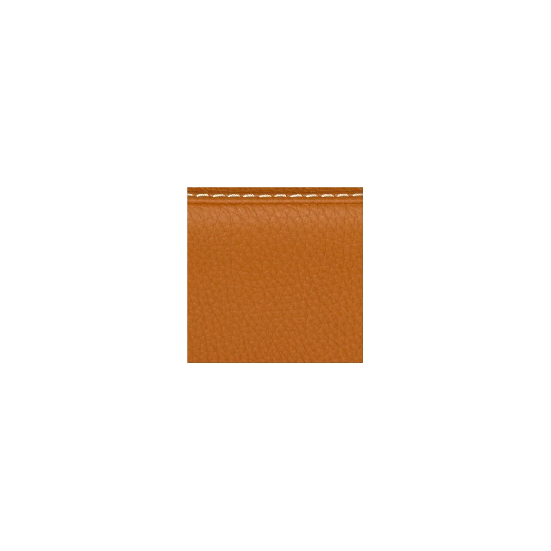 BAM ITALIA ETRO8002XLCC L'ETOILE ROYAL HIGHTECH CLASSICAL GUITAR