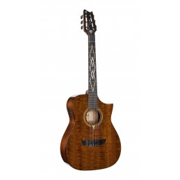 CORT FRANK GAMBALE LUXE NYLON BR W/CASE
