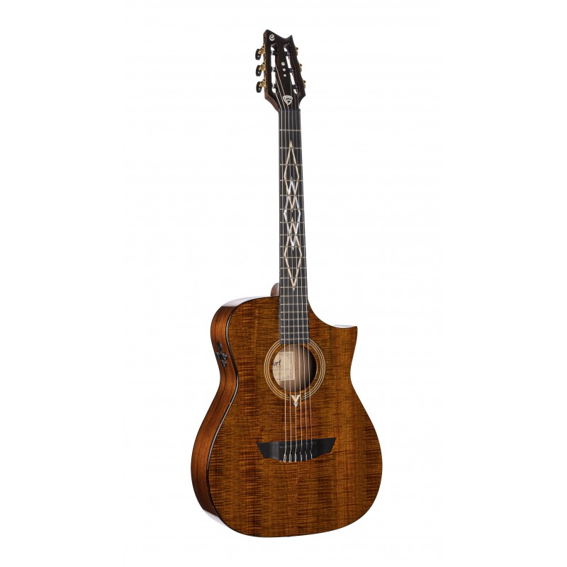 CORT FRANK GAMBALE LUXE NYLON BR W/CASE