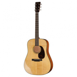 MARTIN D-18 2025