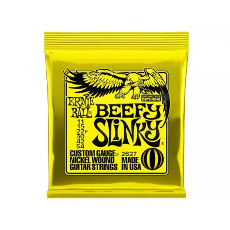 ERNIE BALL 2627