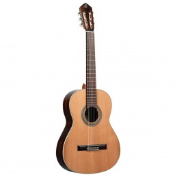 ORTEGA R19G