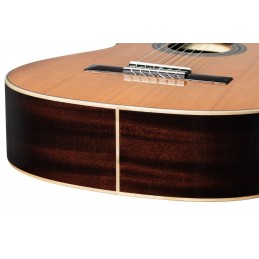 ORTEGA R19G