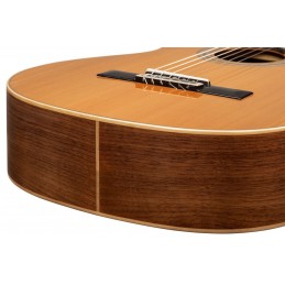 ORTEGA R20GWN