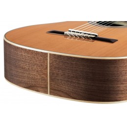 ORTEGA R20GSNWN
