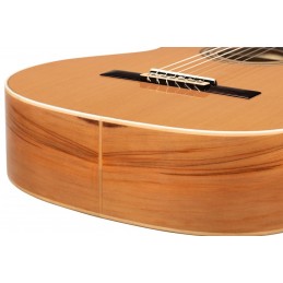 ORTEGA R20GRG