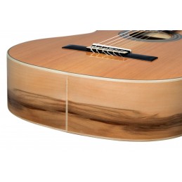 ORTEGA R20GSNRG