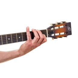 ORTEGA OBN28G