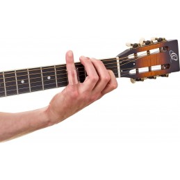ORTEGA OBN28G