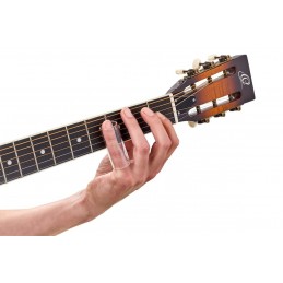 ORTEGA OBN60G