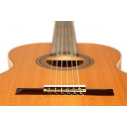 ORTEGA R20GRG-L