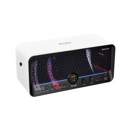 MOOER F40I LI  SNOWFALL W