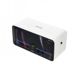 MOOER F40I LI  SNOWFALL W