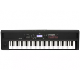 KORG KROSS 2 88 MB