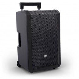 LD SYSTEMS ANNY 12