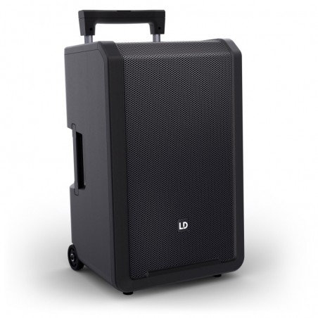 LD SYSTEMS ANNY 12