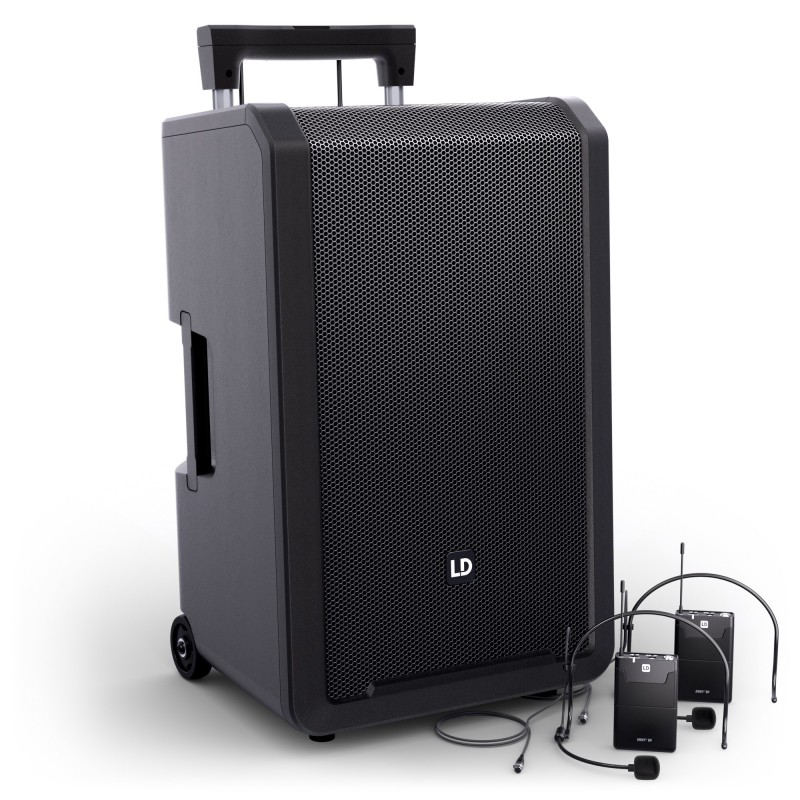 LD Systems ANNY® 12 BPH2 B5