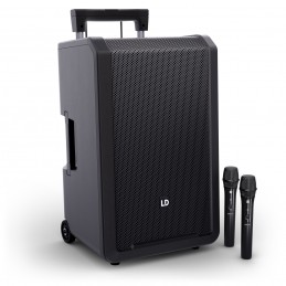 LD SYSTEMS ANNY12 HHD2 B5