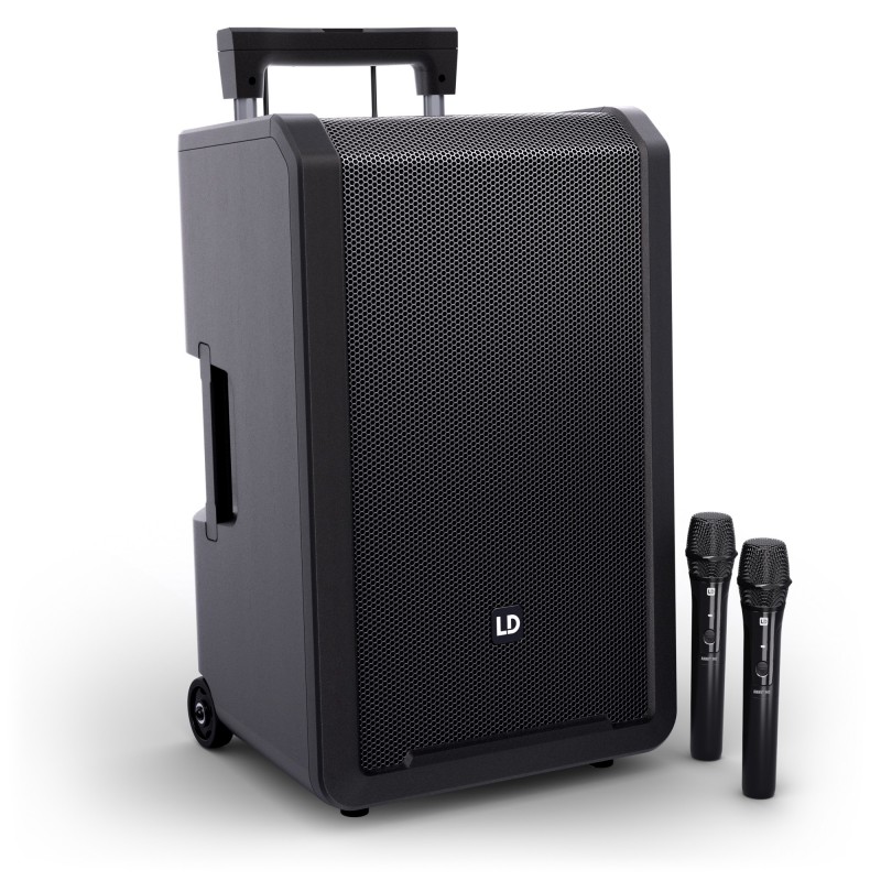 LD SYSTEMS ANNY12 HHD2 B5