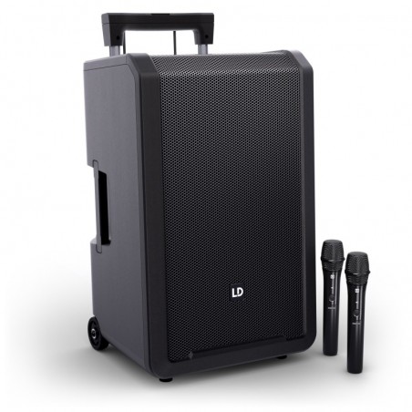 LD SYSTEMS ANNY12 HHD2 B5