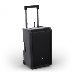 LD Systems ANNY® 12 HBH2 B5