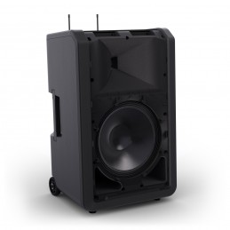 LD Systems ANNY® 12 HBH2 B5