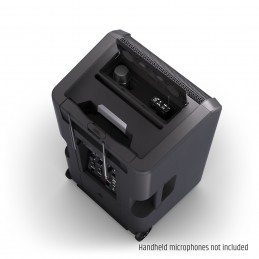 LD Systems ANNY® 12 HBH2 B5