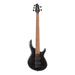 CORT B5 ELEMENT OPTB