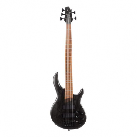 CORT B5 ELEMENT OPTB