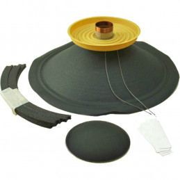 Repair Kit for Vintage 30, Century Vintage 16ohm