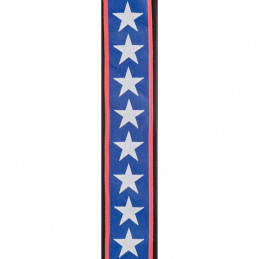 PLANET WAVES 50A10 ROCK WOVEN GUITAR STRAP STARS & STRIPES