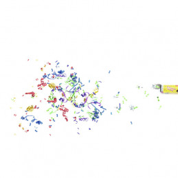 EUROPALMS CONFETTI SHOOTER 20CM
