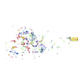 EUROPALMS CONFETTI SHOOTER 10CM