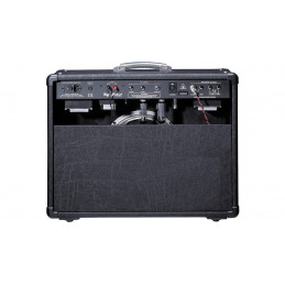 HUGHES & KETTNER DUOTONE COMBO
