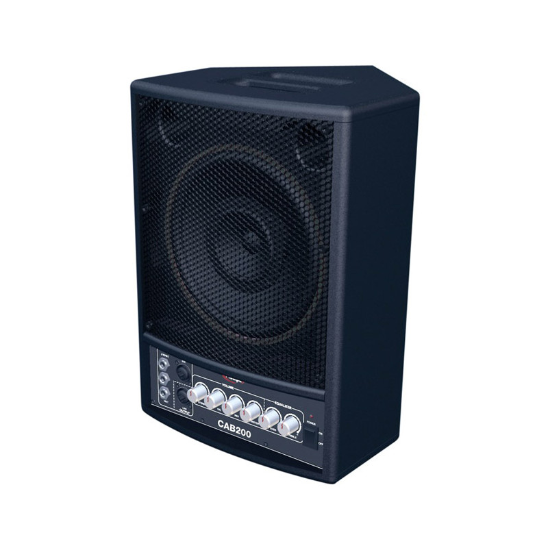 PRODIPE CAB 200 STAGE MONITOR