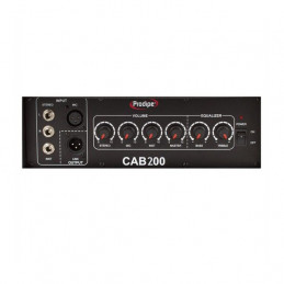 PRODIPE CAB 200 STAGE MONITOR
