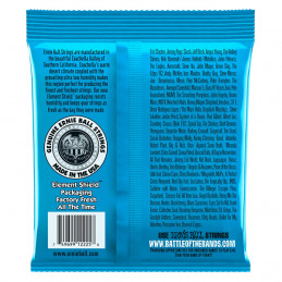 ERNIE BALL 2225 MUTA CORDE CHITARRA ELETTRICA NICKEL WOUND EXTRA