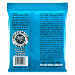 ERNIE BALL 2238 MUTA CORDE CHITARRA ELETTRICA RPS NICKEL WOUND
