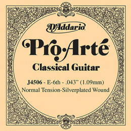 D'ADDARIO J4506 CORDA NYLON 6ST "MI"