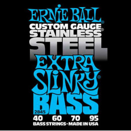 ERNIE BALL 2845