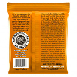 ERNIE BALL 2222 MUTA CORDE CHITARRA ELETTRICA NICKEL WOUND HYBRID