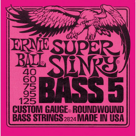 ERNIE BALL 2824