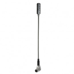 ADAM HALL SLED 1 ULTRA XLR 3AC LAMPADA A LED